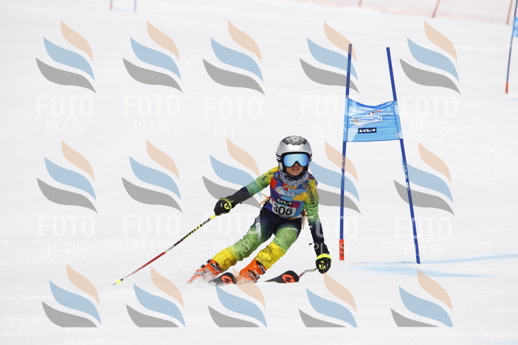 _U3G7659 | holidayphoto