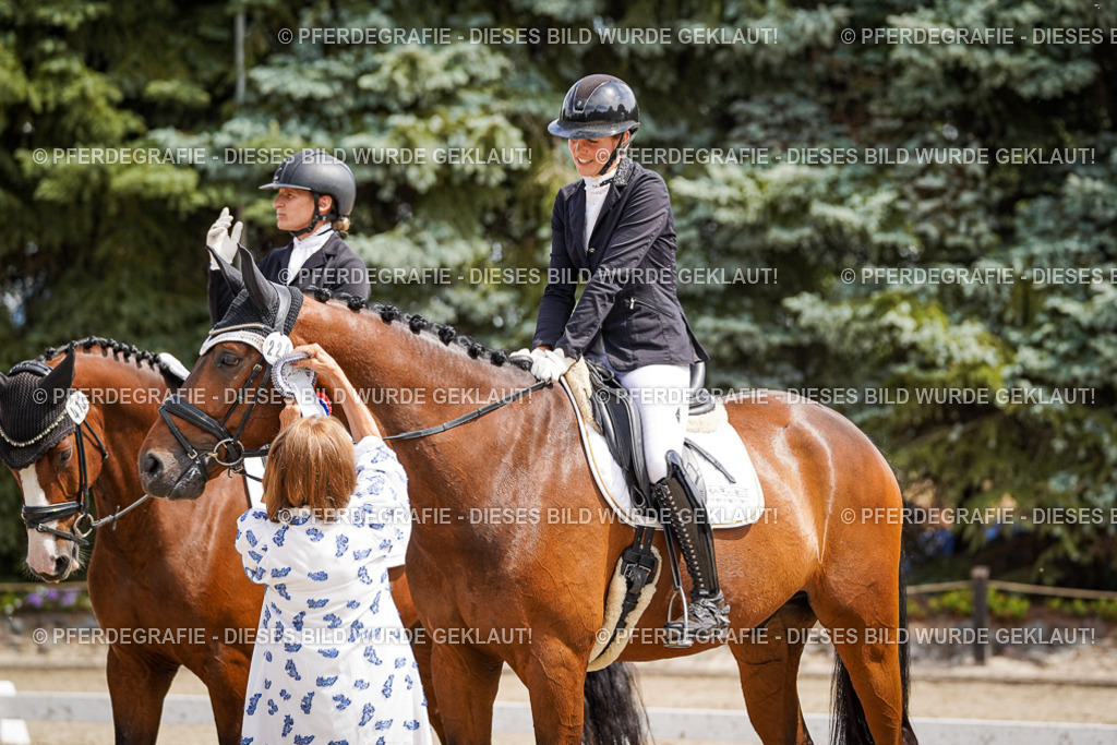 DSC09663 | Pferdegrafie