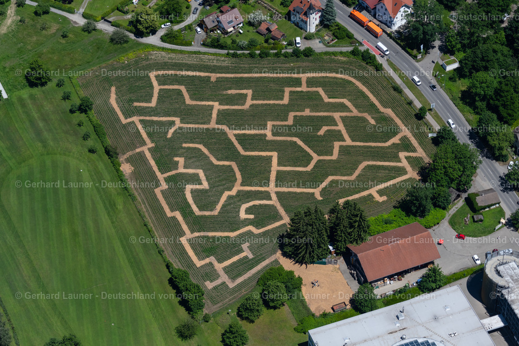 4031452 | LINDAU (BODENSEE) 12.06.2020 Irrgarten - Labyrinth des Lindauer Maislabyrinth in Lindau (Bodensee) am Bodensee im Bundesland Bayern, Deutschland. // Maze - Labyrinth on of Lindauer Maislabyrinth in Lindau (Bodensee) at Bodensee in the state Bavaria, Germany. Foto: Gerhard Launer