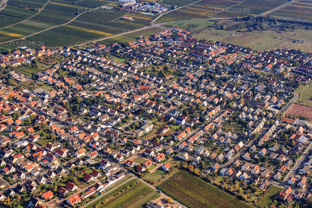 Luftbild: Ortsansicht von Südwesten im Ortsteil Mußbach in Neustadt im Bundesland Rheinland-Pfalz in Deutschland. Foto: IMG_22056.jpg vom 15.10.2009 durch Werner Riehm/FLY-FOTO.de