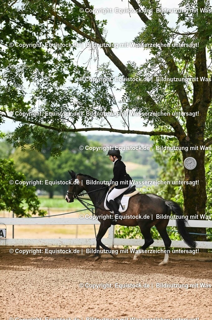 20230716_10-1_Reiter-WB Schritt - Trab - Galopp_0115 | equistock