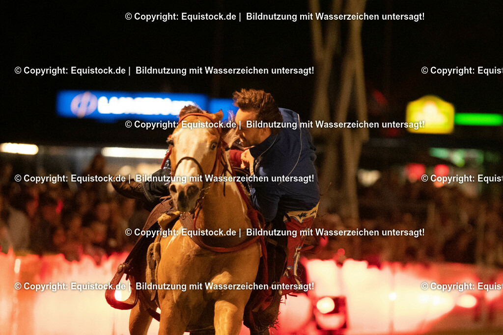 20230526_Pferdenacht_1315 | equistock
