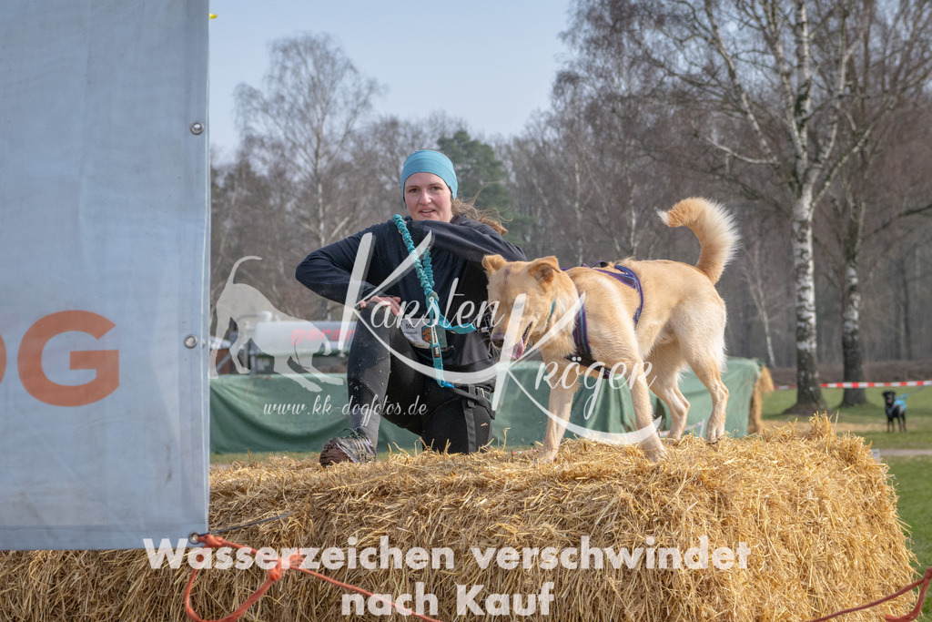 _ZZ93072 | kk-dogfotos