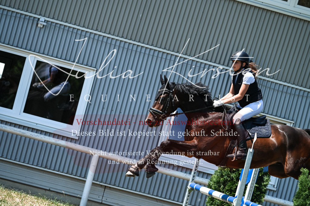 DSC_9995 | Pferde- und Turnierfotografie in Westsachsen. Pferdeportraits, Auftragszeichnungen und intuitive Kunst.