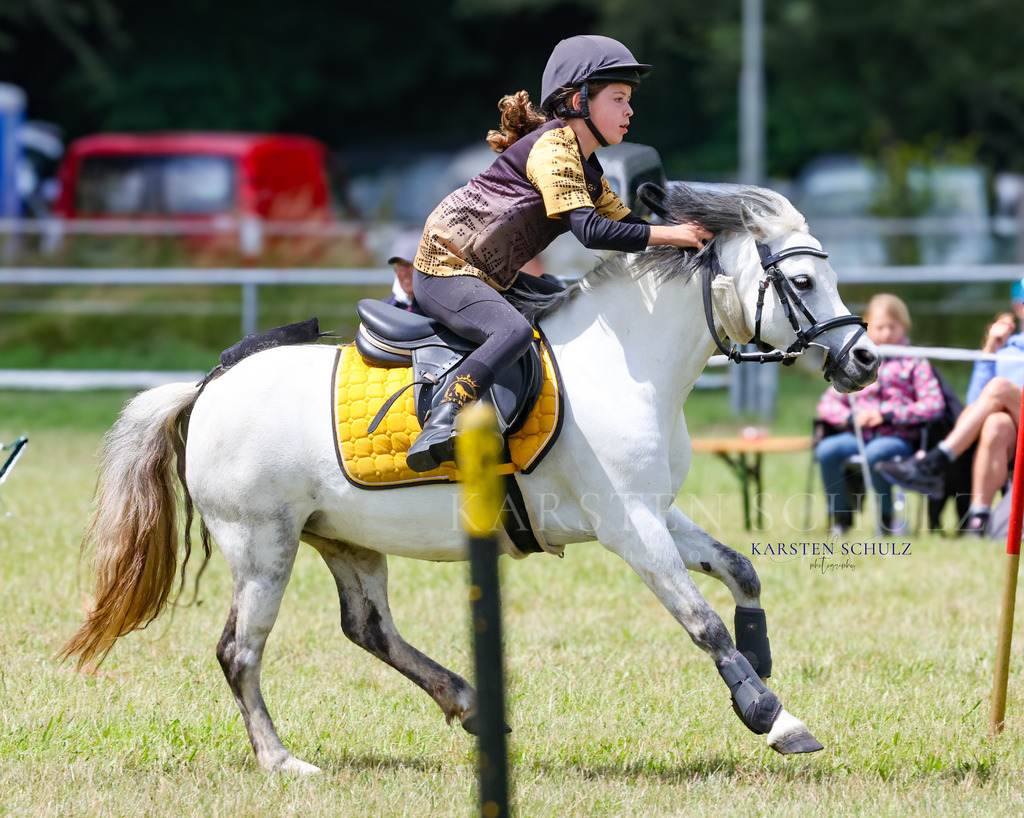 1B3A0640 | Reitsport Reiten
