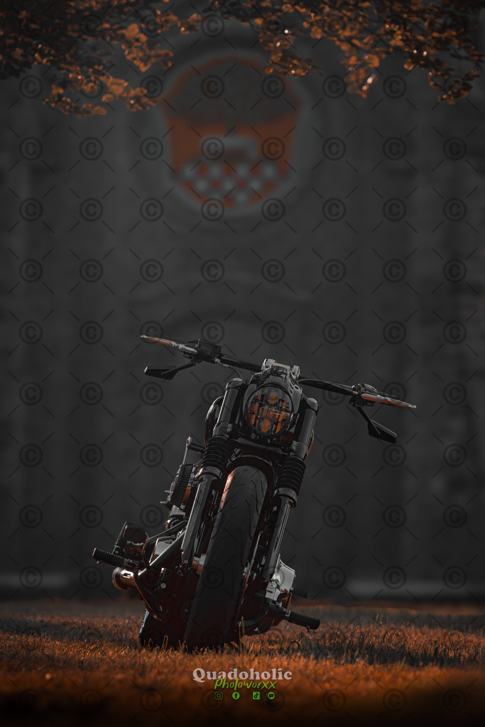 Harley Lars-2 | Photoworxx - Realisiert mit Pictrs.com