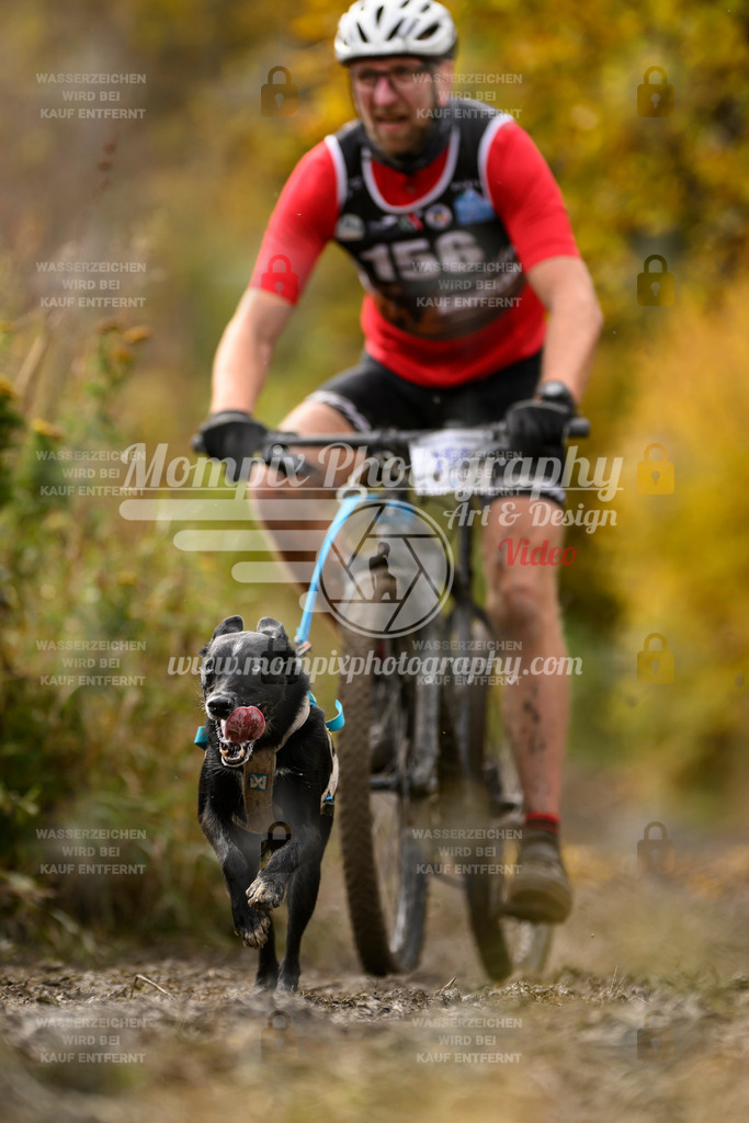 MompixPhotography_ICF_WC_2024_SA_Bike_-215 | PayLife