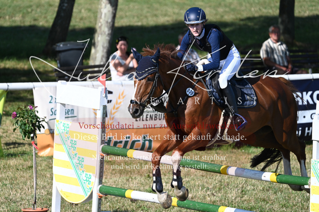 DSC_2346 | Pferde- und Turnierfotografie in Westsachsen. Pferdeportraits, Auftragszeichnungen und intuitive Kunst.