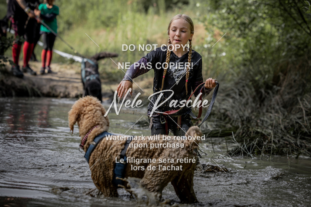 nelerasche_so0800-0930_53 | nelerasche