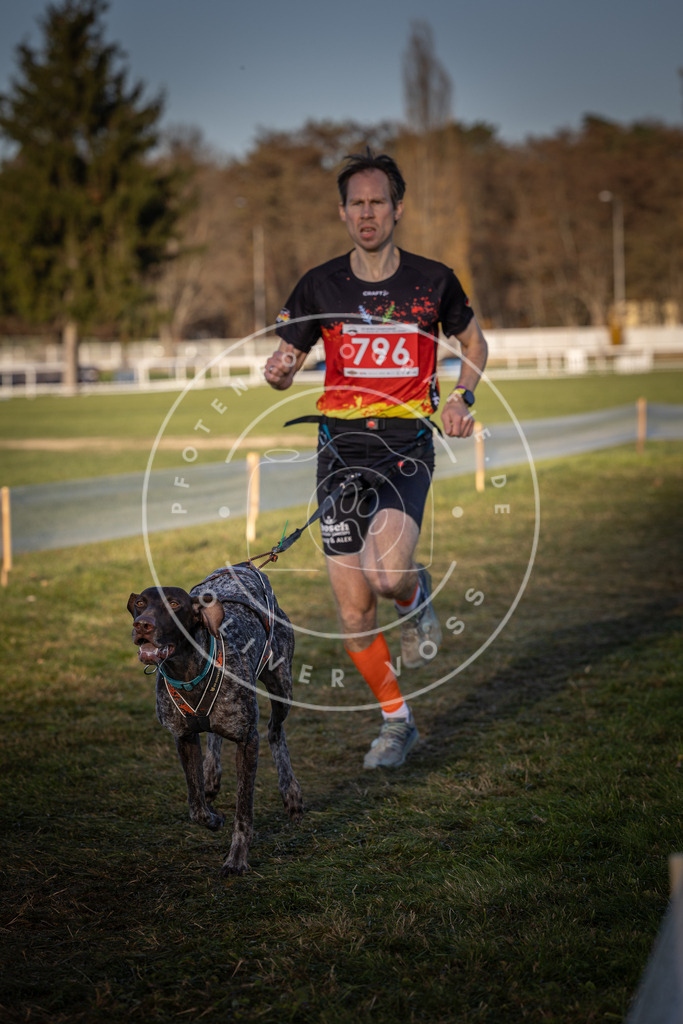 CaniXpix_DV3A2875 | Hundefotografie, Tierfotograf, Pfotenfotografie, Fotoshooting Hund, Hunde Portrait, Hundesport, Hundeportraits, Heideshooting, Hunde, Sportfotograf, Hundefotograf, Turnierhundsport, THS,  - Realisiert mit Pictrs.com