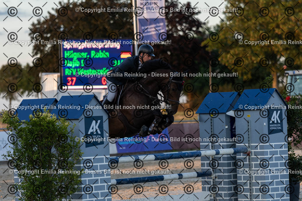 CL5A4535 | Emilia Reinking Fotografie - Realisiert mit Pictrs.com