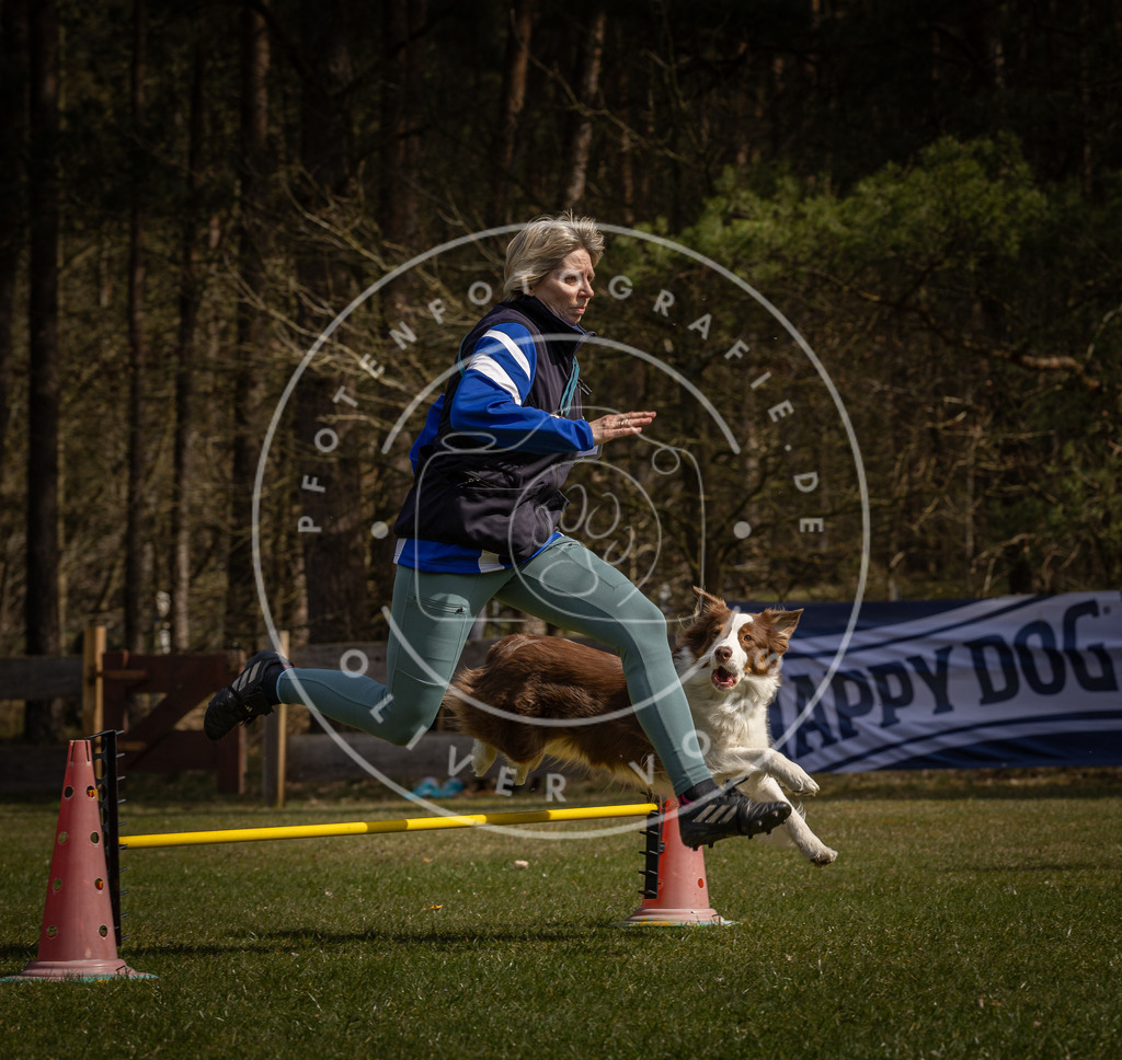 Pfotenfotografie_DV3A3247 | Hundefotografie, Tierfotograf, Pfotenfotografie, Fotoshooting Hund, Hunde Portrait, Hundesport, Hundeportraits, Heideshooting, Hunde, Sportfotograf, Hundefotograf, Turnierhundsport, THS,  - Realisiert mit Pictrs.com