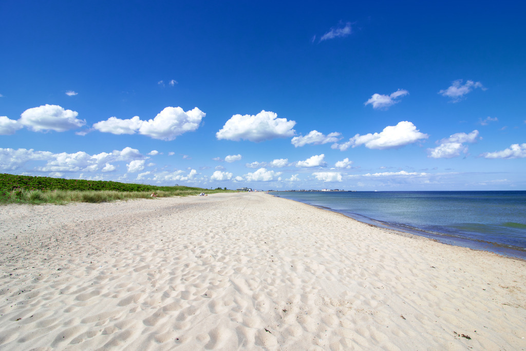 Leinwand: Weite und Ruhe am Ostseestrand | Dieses atemberaubende Bild fängt die Ruhe und Schönheit des Weidefelder Strands im Frühling ein. Der feine, helle Sand erstreckt sich weit in die Ferne und lädt zu einem entspannten Spaziergang ein. Links im Bild ziehen sich grüne Dünen entlang des Strandes und verleihen der Szenerie eine lebendige und natürliche Note. Der klarblaue Himmel mit seinen weißen, flauschigen Wolken schafft eine friedliche Atmosphäre und harmoniert perfekt mit dem ruhigen, blauen Meer, das sanft an den Strand spült. Die Weite des Strandes und die unberührte Natur machen dieses Bild zu einem eindrucksvollen und beruhigenden Kunstwerk. - Realisiert mit Pictrs.com