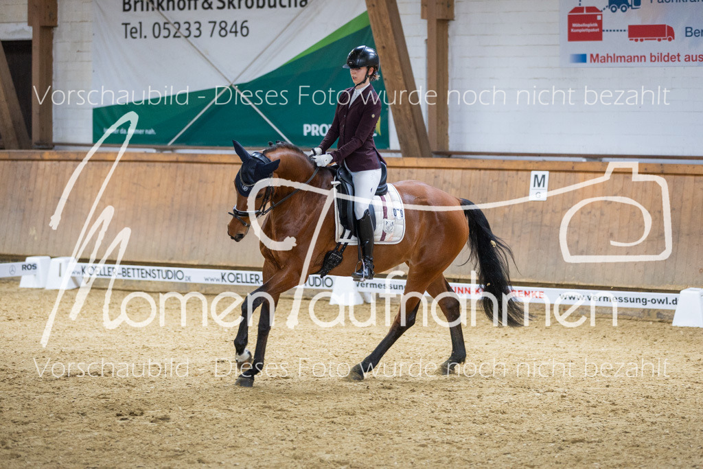 Sth-LPO25-A-Dr-082 | MomenTaufnahmen Pferdesportfotos