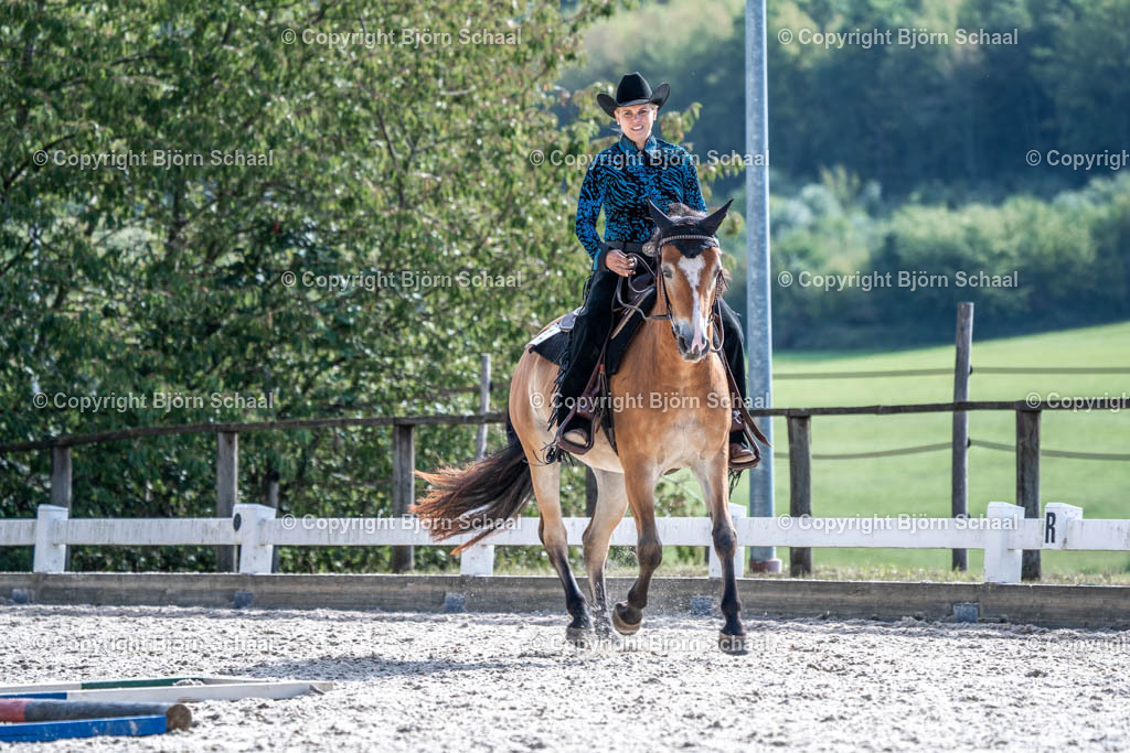 HOB00558 | BS-foto