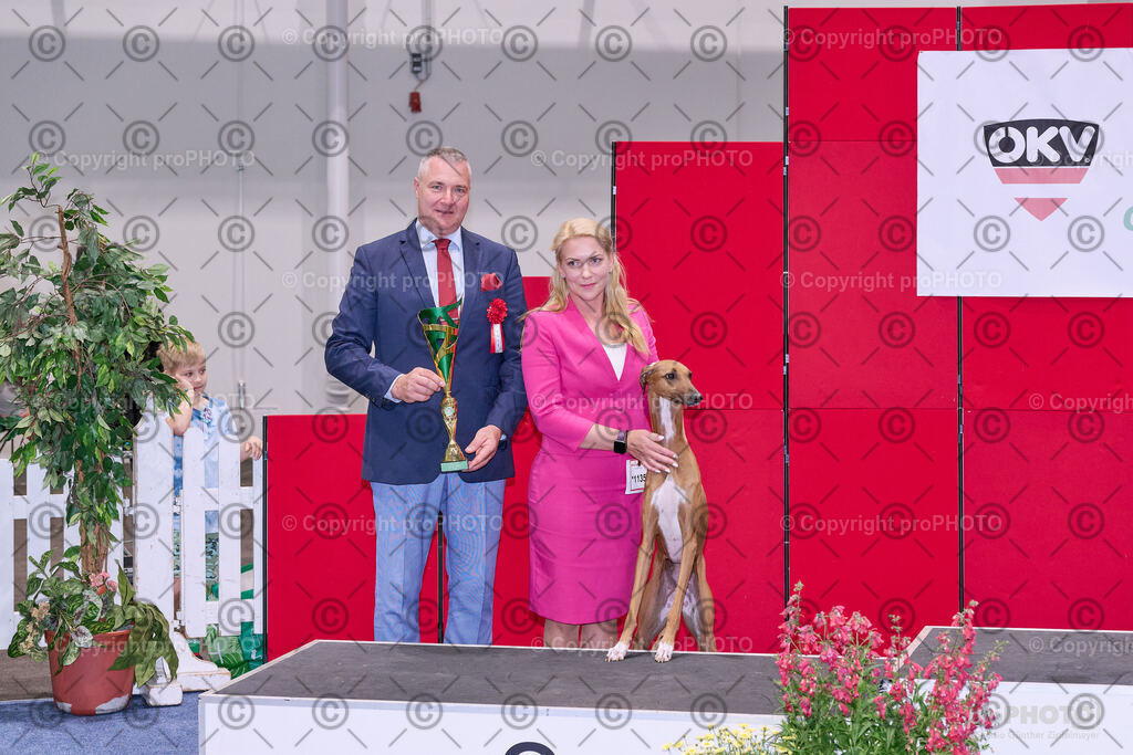 202406_ÖKV-IHA-Tulln24_NZ9_8761 | proPHOTO - Realisiert mit Pictrs.com