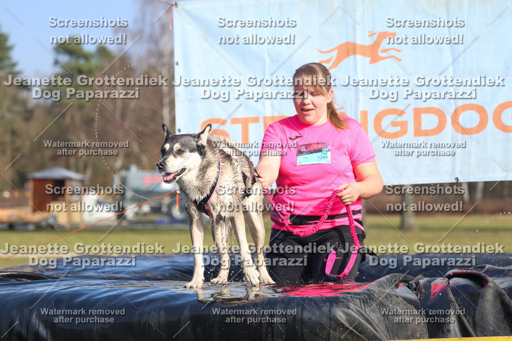 Dog Paparazzi - Strongdog North Mrz26-3364 | Dog Paparazzi Jeanette Grottendiek Fotografie & Videografie - Realisiert mit Pictrs.com