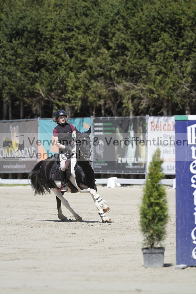 _MG_6527 | equestrian-live-com