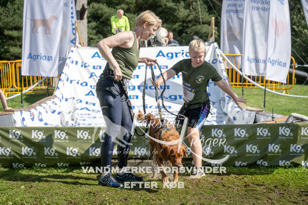 1135_ZZ92685 | kk-dogfotos