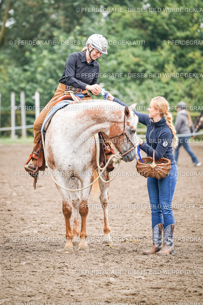 DSC02102 | Pferdegrafie