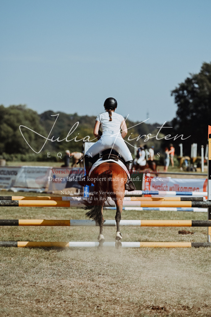 DSC_9961 | Pferde- und Turnierfotografie in Westsachsen. Pferdeportraits, Auftragszeichnungen und intuitive Kunst.