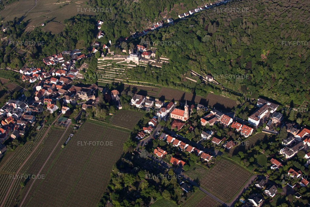 Luftbild: Burg Winzing und Haardter Schlössel in Neustadt an der Weinstraße im Bundesland Rheinland-Pfalz in Deutschland. Foto: IMG_64672.jpg vom 04.05.2014 durch Werner Riehm/FLY-FOTO.de