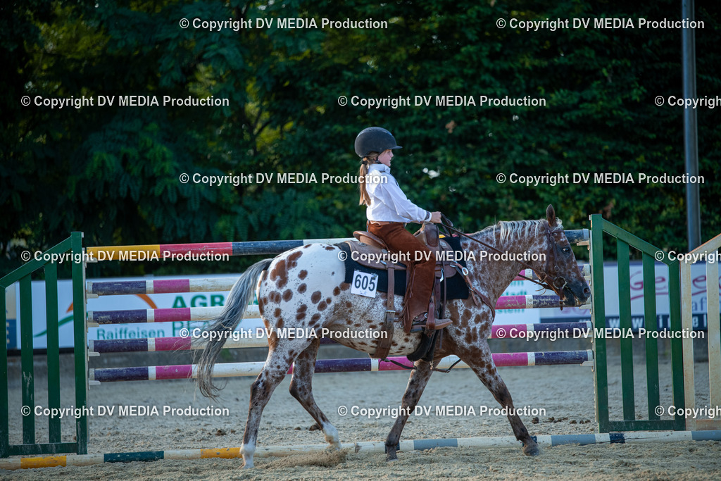 EWP_7249 | dv-media-shop - Realisiert mit Pictrs.com