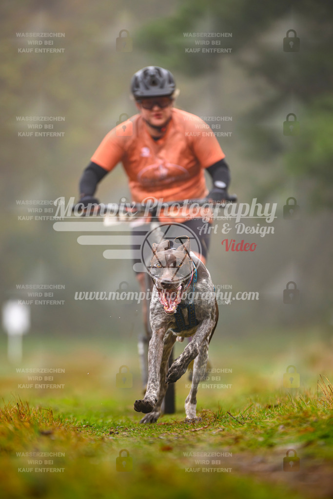 MompixPhotography_Bischwiller2025_Scooter-29 | mompixphotography