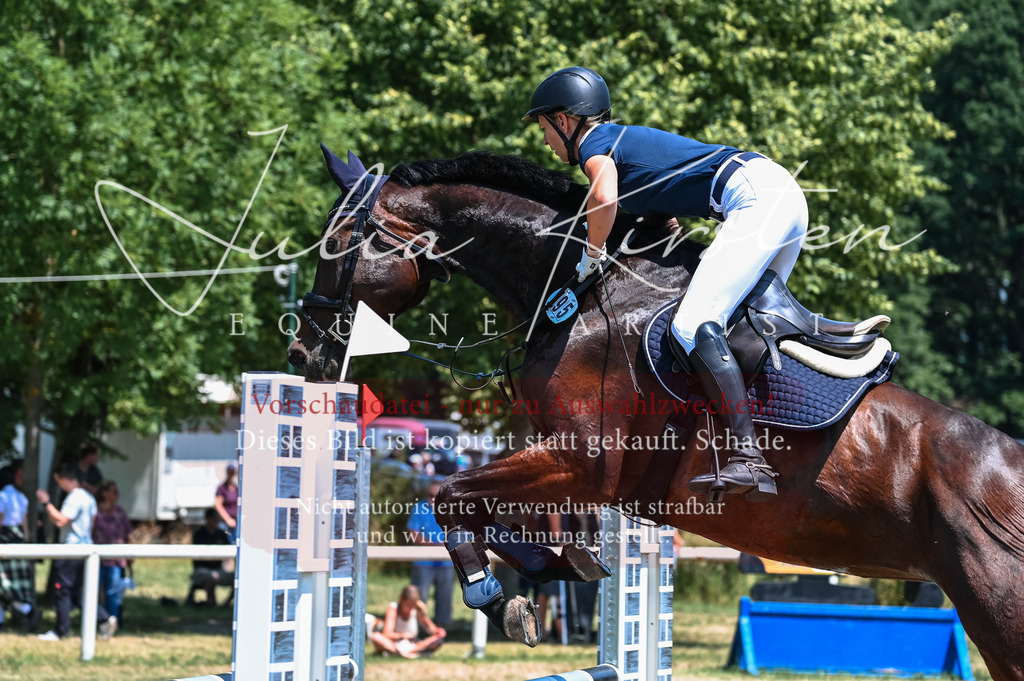 DSC_0088 | Pferde- und Turnierfotografie in Westsachsen. Pferdeportraits, Auftragszeichnungen und intuitive Kunst.