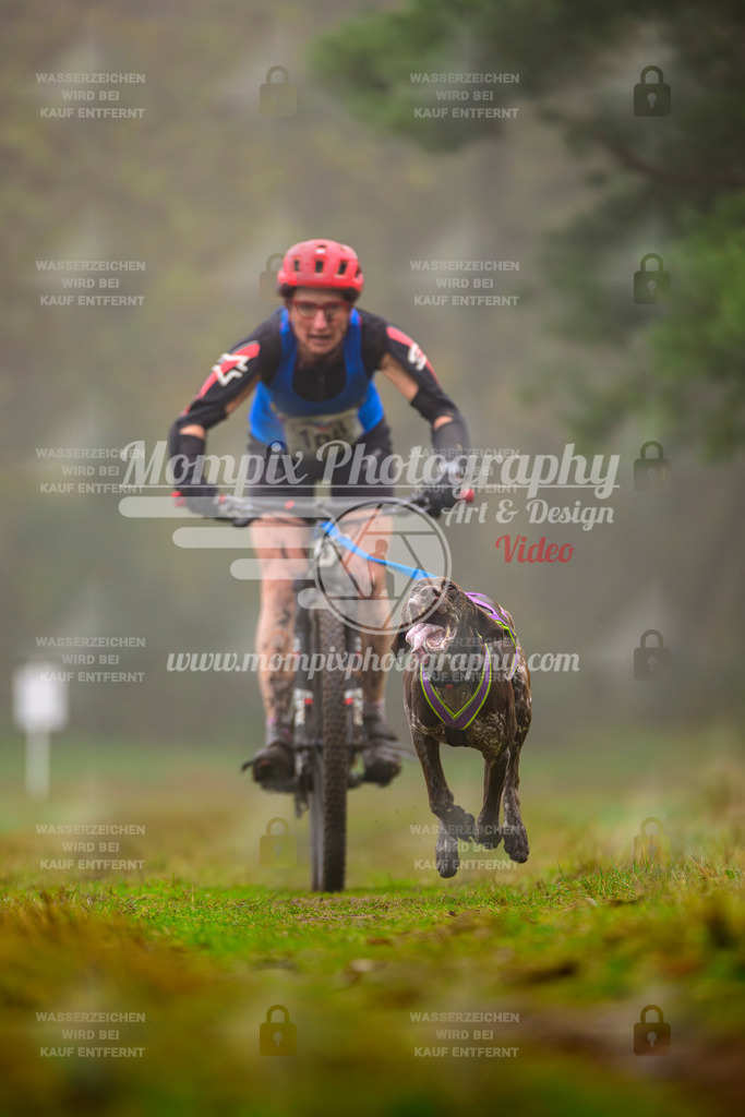 MompixPhotography_Bischwiller2025_Bike-5 | mompixphotography