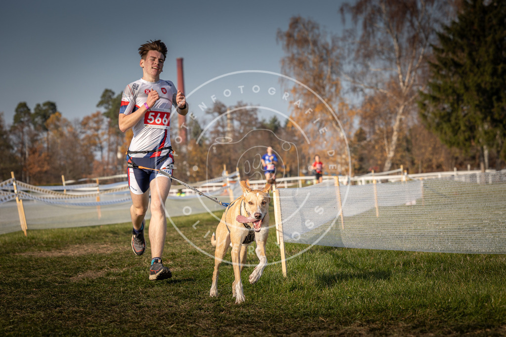 CaniXpix_0L8A9536 | Hundefotografie, Tierfotograf, Pfotenfotografie, Fotoshooting Hund, Hunde Portrait, Hundesport, Hundeportraits, Heideshooting, Hunde, Sportfotograf, Hundefotograf, Turnierhundsport, THS,  - Realisiert mit Pictrs.com