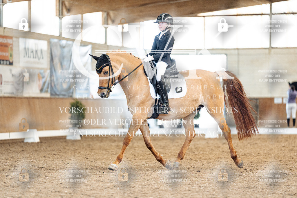 CK909690 | Turnierfotografie Pferdefotografie Trier Rheinland-Pfalz Pferdesport Reitsport Tierfotografie Sportfotografie Pferdevideo Pferdevideografie Equestrianvideography equestrianphotography  - Realisiert mit Pictrs.com