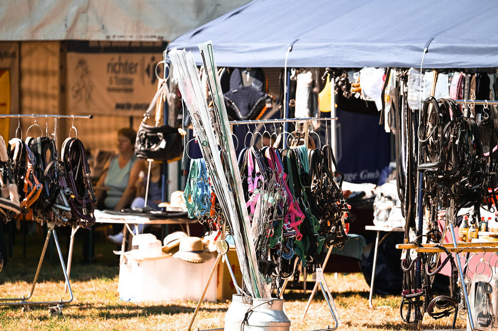 DSC_1214 | Pferde- und Turnierfotografie in Westsachsen. Pferdeportraits, Auftragszeichnungen und intuitive Kunst.