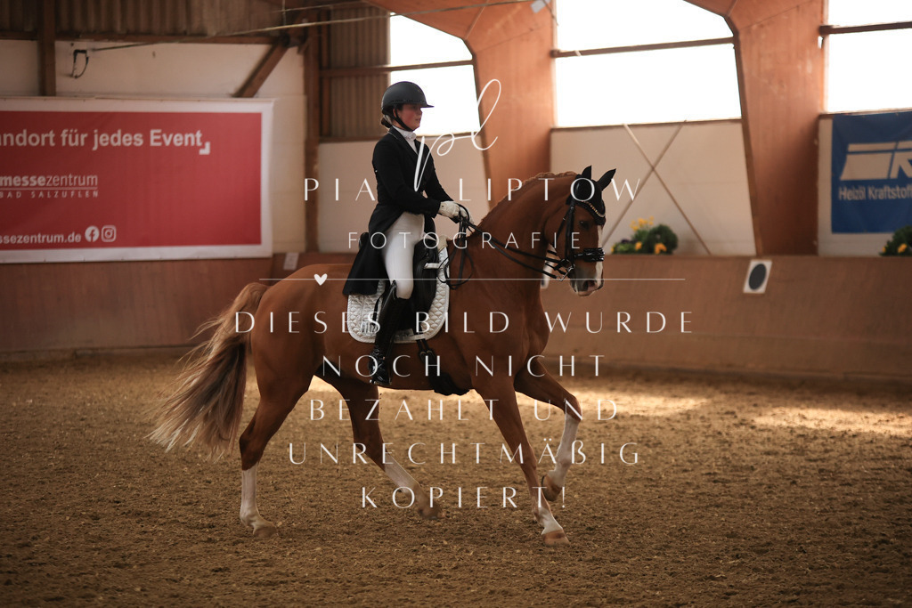 IMGT4696 | pl-fotografie