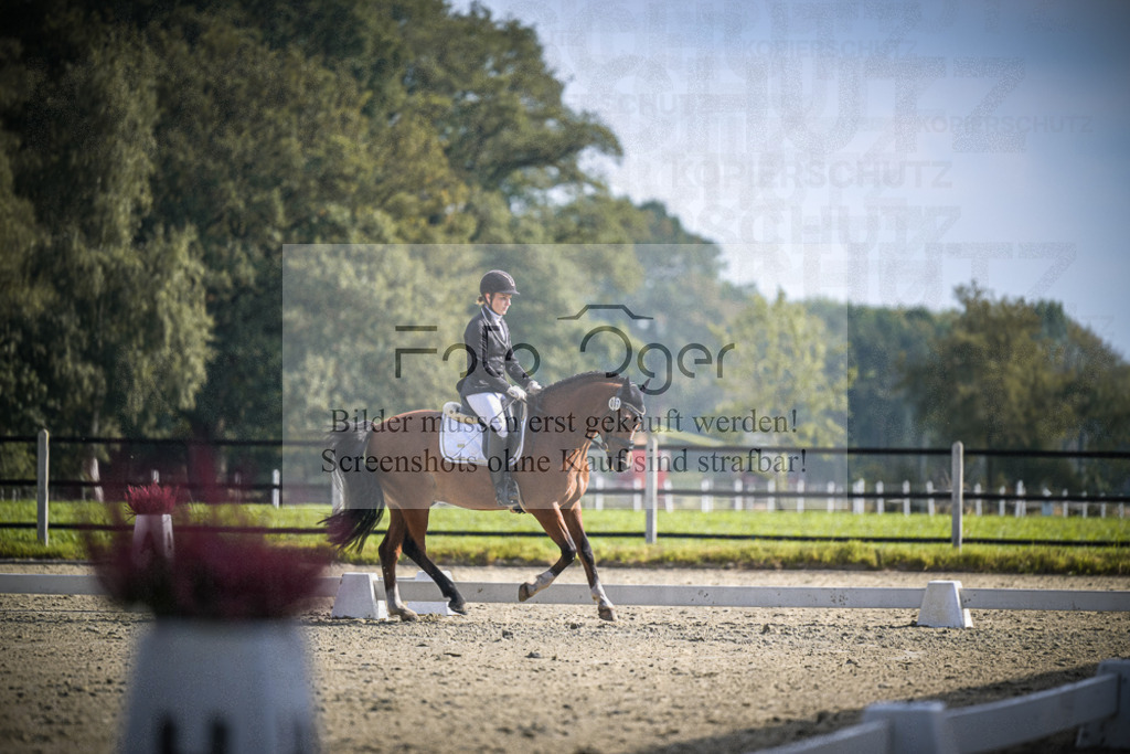 DOS_B747 | Entdecke hochwertige Reitturnierfotos von Foto Oger. Professionell, emotional und authentisch – jetzt Lieblingsmomente im Shop bestellen.Deutschlandweite Turnierfotografie. - Realisiert mit Pictrs.com