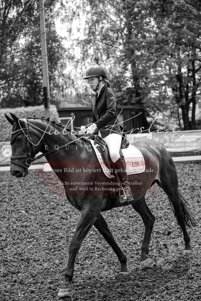 DSC_4676 | Pferde- und Turnierfotografie in Westsachsen. Pferdeportraits, Auftragszeichnungen und intuitive Kunst.