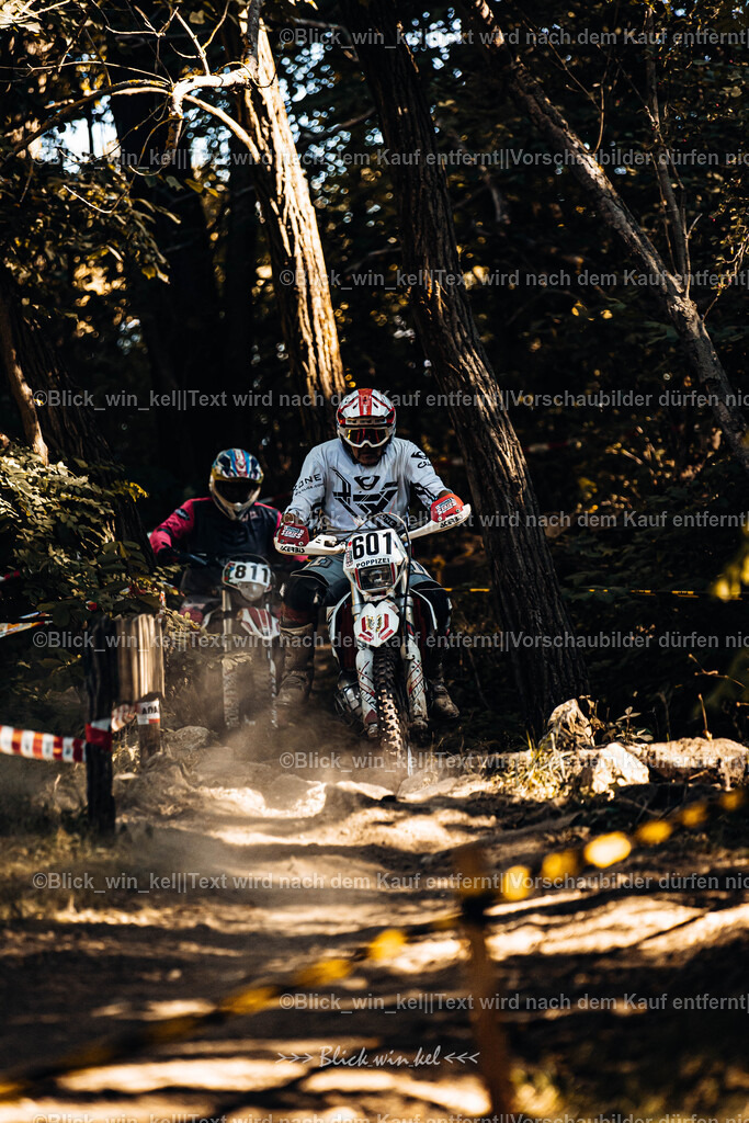 E68A5556 | blick_win_kel