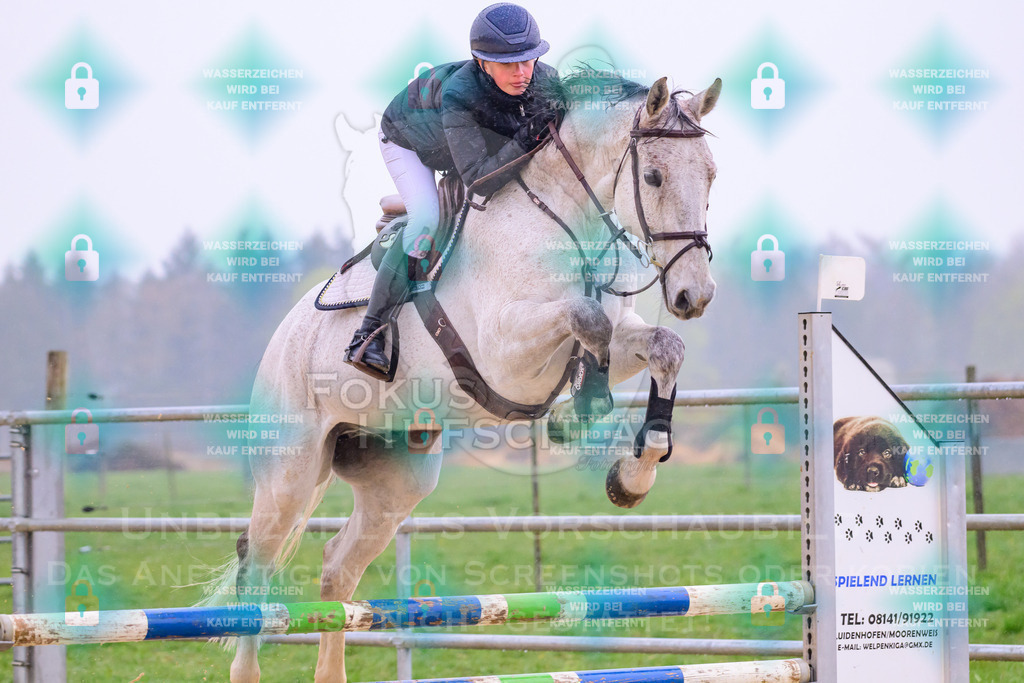 10042026-Mammendorf-Prfg14-0143 | Fokus Hufschlag Fotografie - Realisiert mit Pictrs.com