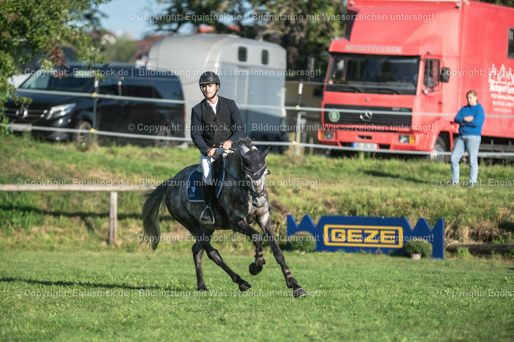 20230908_14-15_Springpferde-A_0015 | equistock