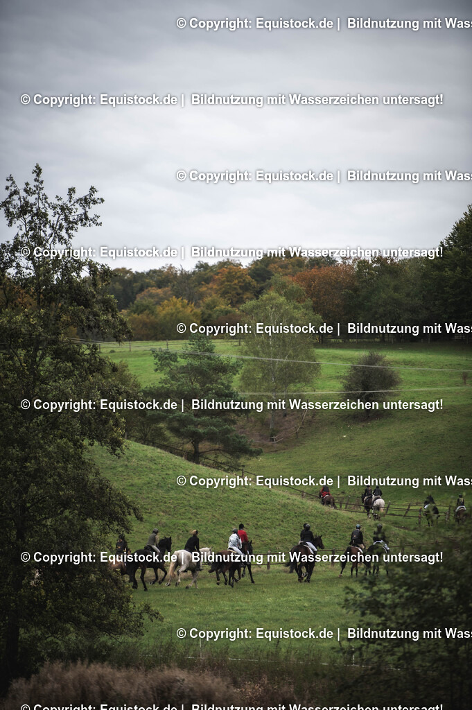 20241013_Jagd-Marbach_0405 | Foto: Thomas Hartig