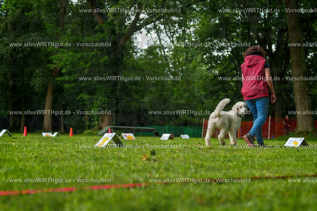@allesWIRTHgut_Tierfotografie - www.allesWIRTHgut.de - 7R505239 | Professionelle Tierfotografie in Mönchengladbach von Daniel Wirth (allesWIRTHgut). Liebevolle & natürliche Bilder von Hunden & Katzen für unvergessliche Erinnerungen.