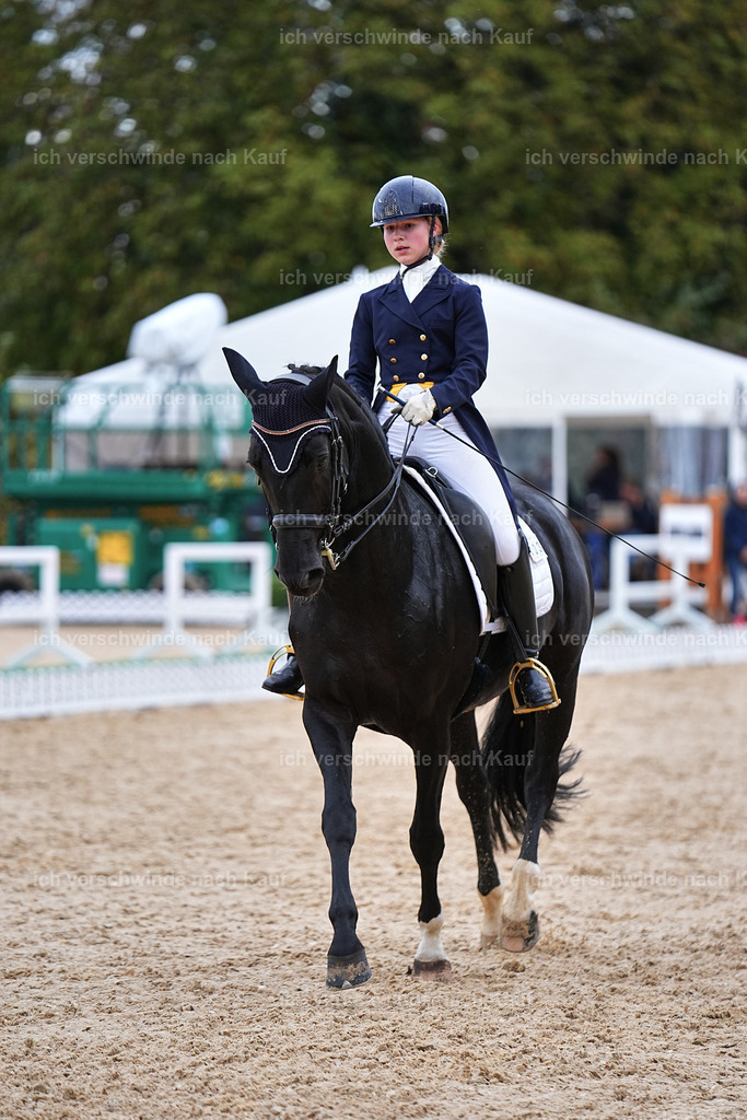 8_2-033-DRESSUR S_  -Marixx-4583 | working equitationturnier fotograf videograf stoibphotography marixx film working equitation deutschland reitsport turnierfotografie eventfotografie equestrian events