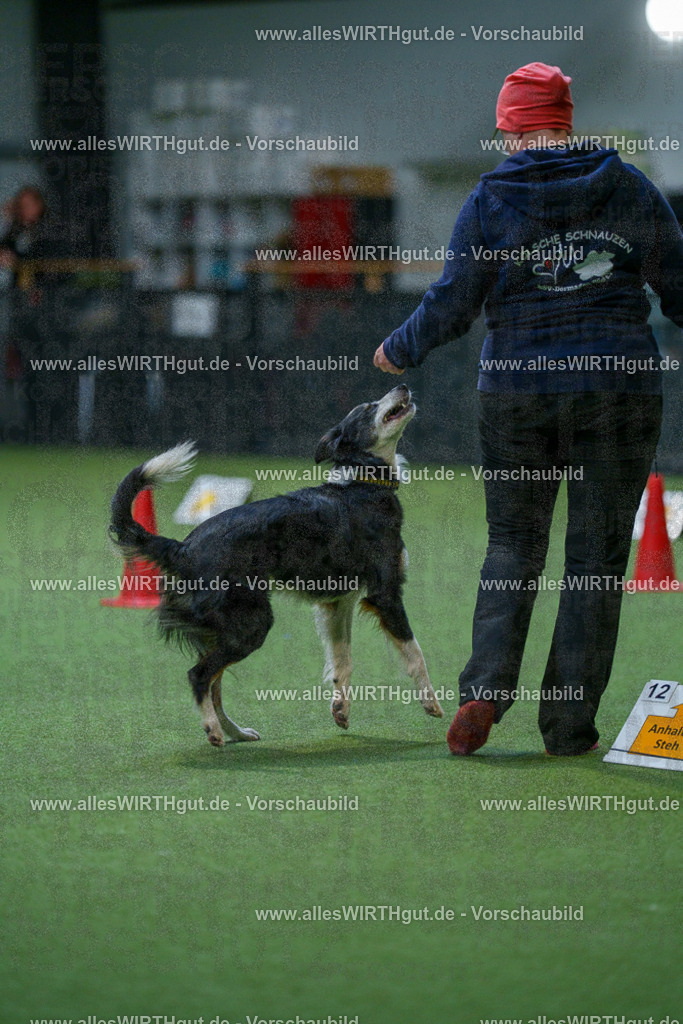 7R502722 | Professionelle Tierfotografie in Mönchengladbach von Daniel Wirth (allesWIRTHgut). Liebevolle & natürliche Bilder von Hunden & Katzen für unvergessliche Erinnerungen.