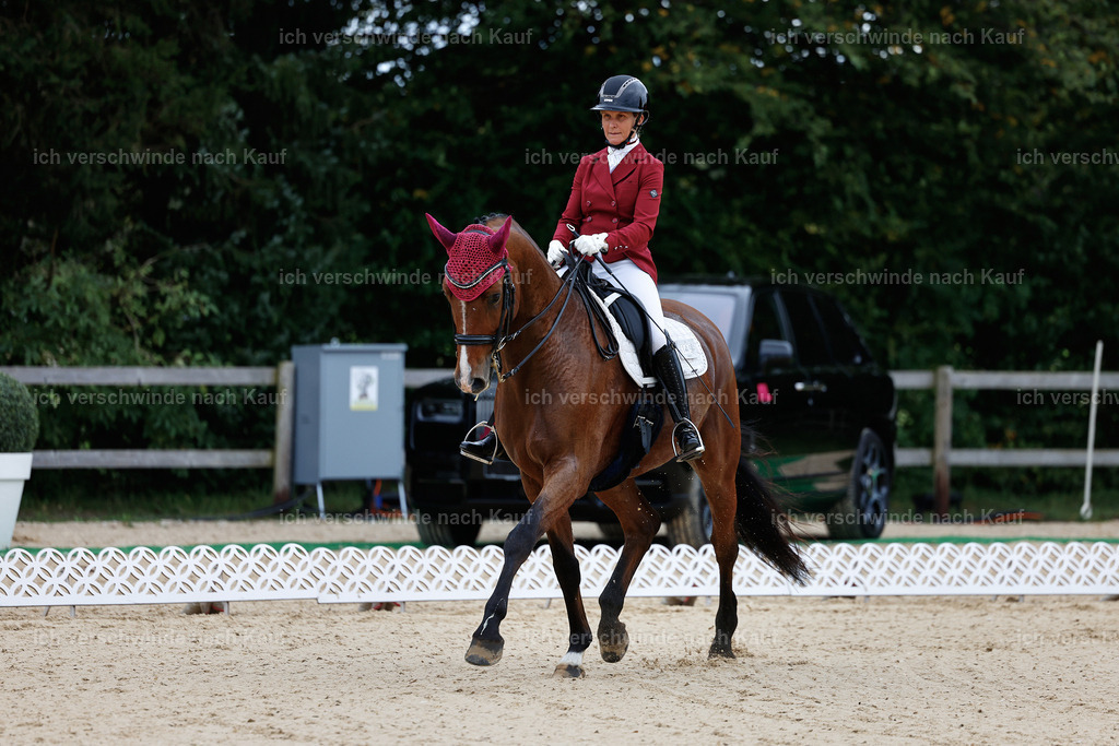 04_1-149-Dressur M__ -StoibPH-StoibPH-2617 | working equitationturnier fotograf videograf stoibphotography marixx film working equitation deutschland reitsport turnierfotografie eventfotografie equestrian events