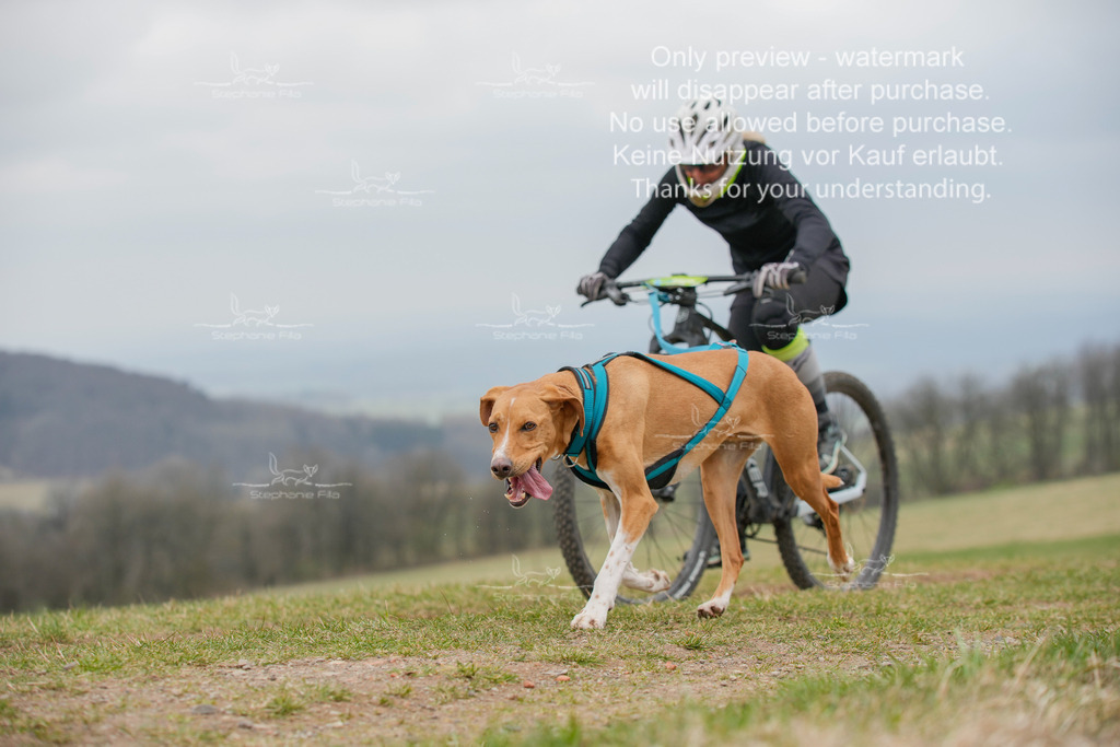 BikeSA-313 | stephaniefillaphotographie - Realisiert mit Pictrs.com