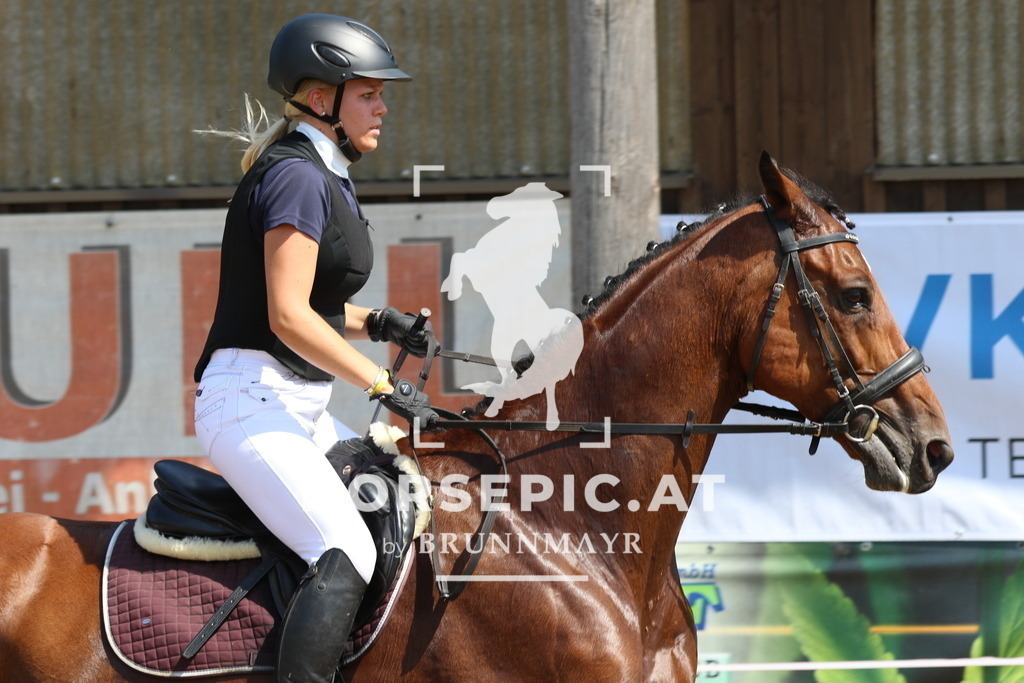 7V2A3466 | Willkommen bei Brunnmayr - Design & Fotografie – Ihrem Spezialisten für Reitturniere und Pferdeveranstaltungen in Oberösterreich, Salzburg und Bayern! Seit über 17 Jahren sind wir leidenschaftlich dabei.