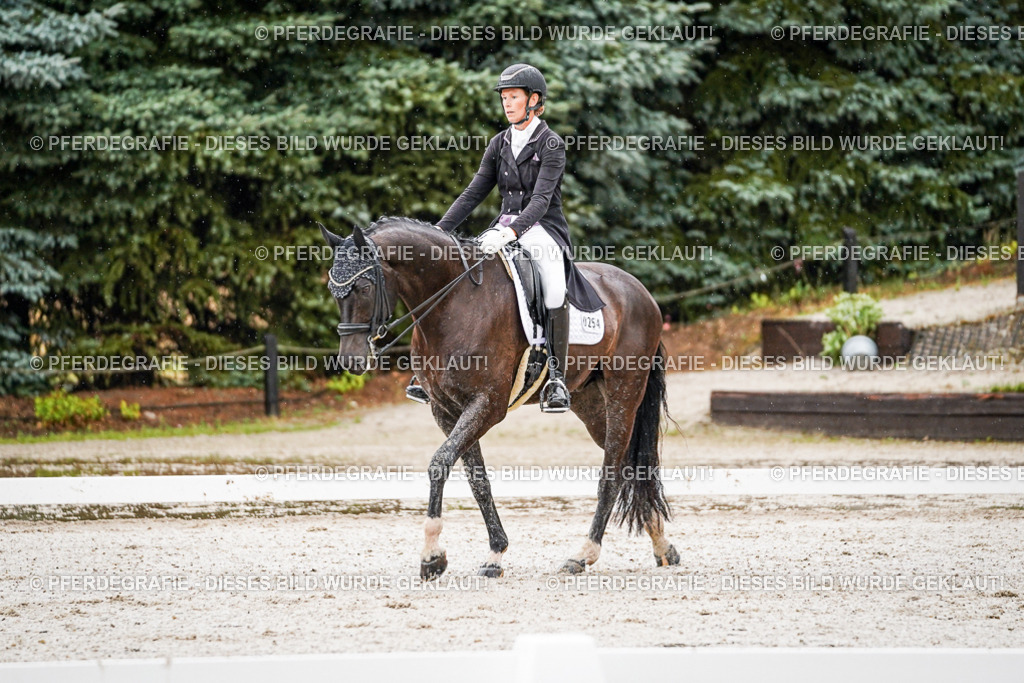 DSC08853 | Pferdegrafie