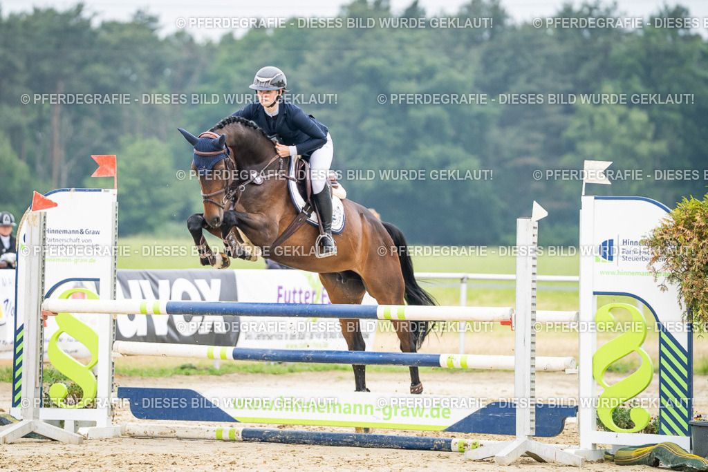 DSC00092 | Pferdegrafie