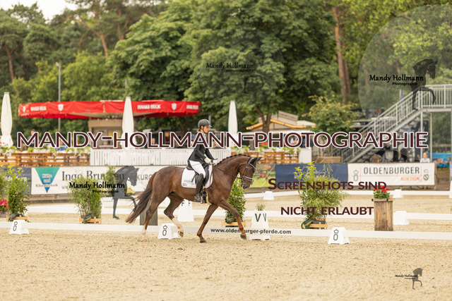 SW 4-547 | mandyhollmannphotographie