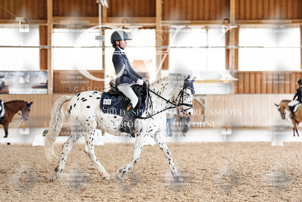 CK901435 | Turnierfotografie Pferdefotografie Trier Rheinland-Pfalz Pferdesport Reitsport Tierfotografie Sportfotografie Pferdevideo Pferdevideografie Equestrianvideography equestrianphotography  - Realisiert mit Pictrs.com